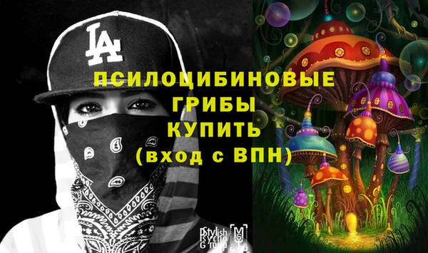 дурь Абаза