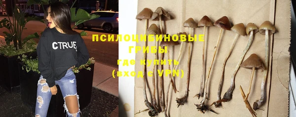 дурь Абаза