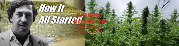 герыч Новозыбков