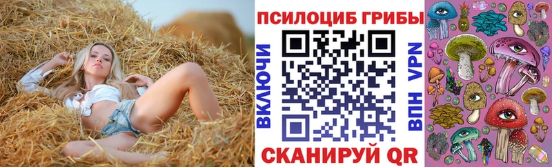 blacksprut маркетплейс  Якутск  Галлюциногенные грибы Psilocybe 