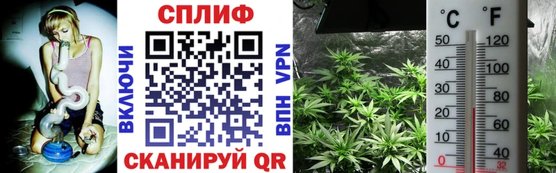 как найти закладки  Якутск  Конопля гибрид 